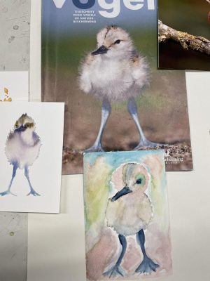 aquarel voorbeelsden aquarel voorbeelden