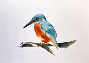 ijvogel in aquarel ijsvogel aquarel